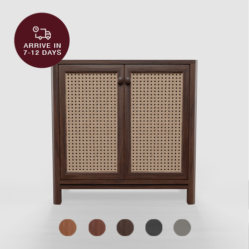 Kenari 2-Door Vintage Cabinet 8