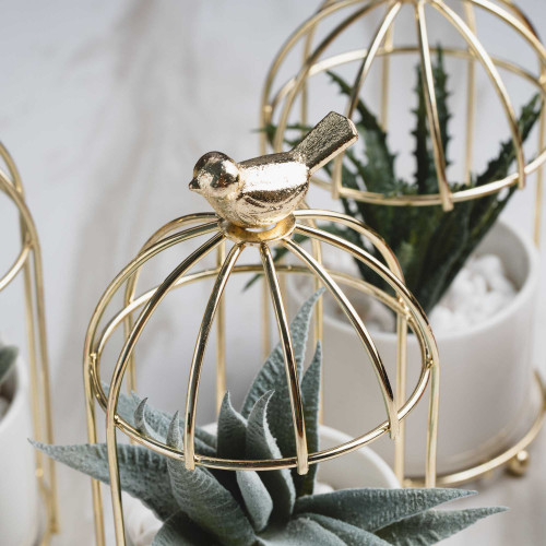 Bird's Cage Potted Plant #4 Green Lotus