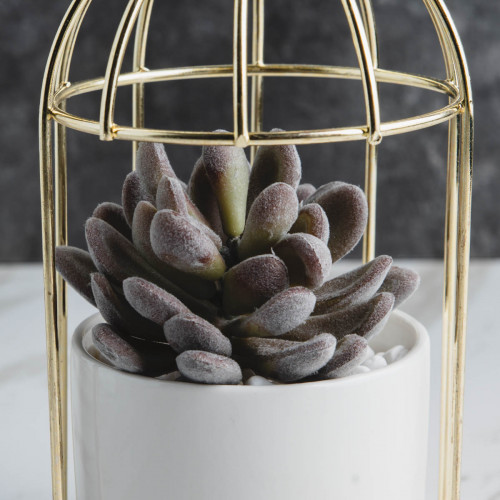 Bird's Cage Potted Plant #6 Purple Lotus