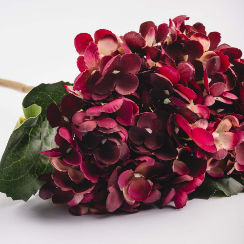 Euro Style Hydrangea Bunch - Deep Rose
