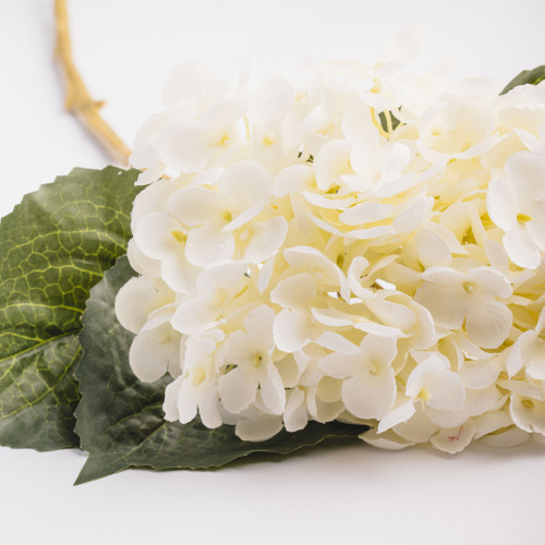 Euro Style Hydrangea Bunch - White