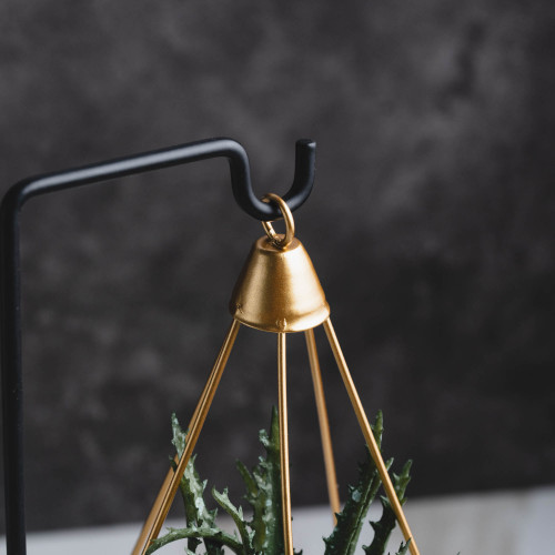 Iron Crafts #2 Double Hook Air Plant +Barbed Aloe