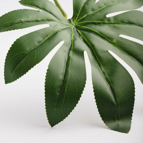 Leaf Branch Plant Octagonal Leaf 2