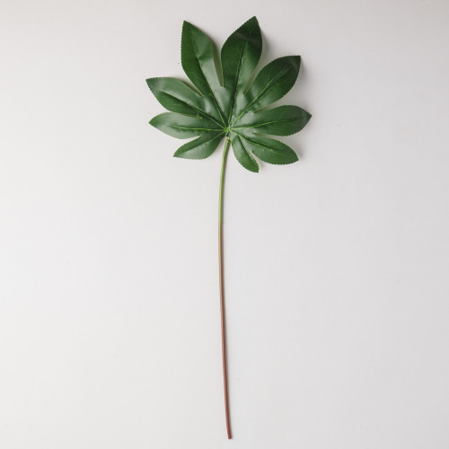 Leaf Branch Plant Octagonal Leaf 3