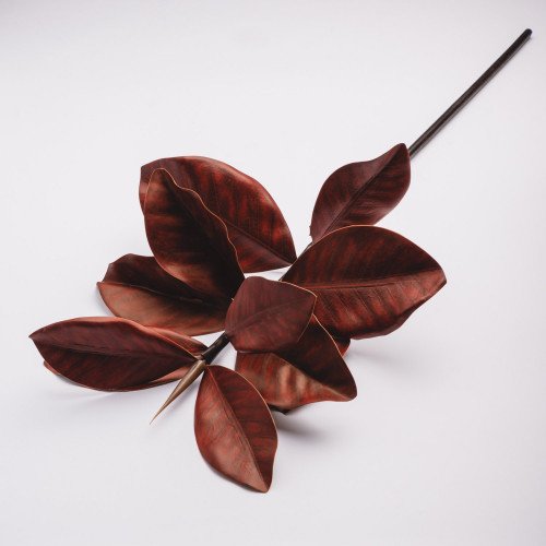Magnolia Branches - Sunset Red