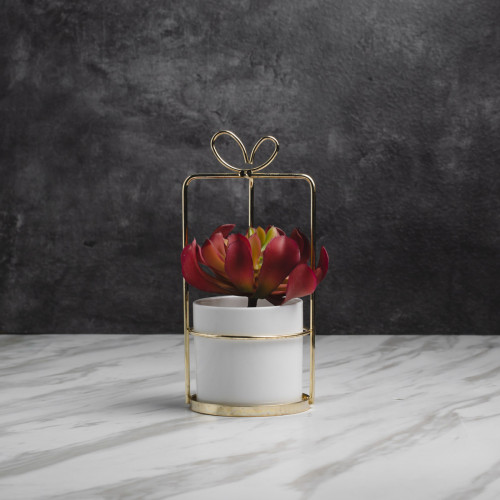 Succulent Plant Décor #1 Chitose Red