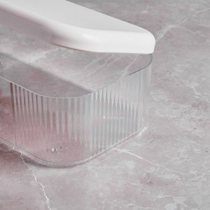 Transparent Plastic Container 24 x 14.2 x 8.4cm
