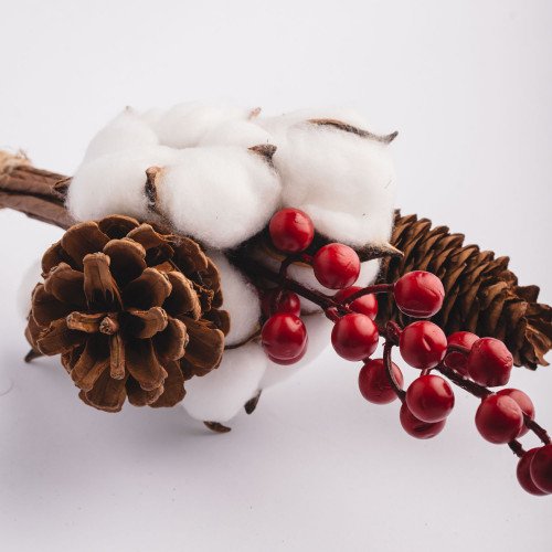 White Cotton Plant - Bouquet of Blossoms and Berries