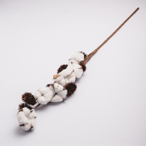 White Cotton Plant - Six Blossoms Bouquet