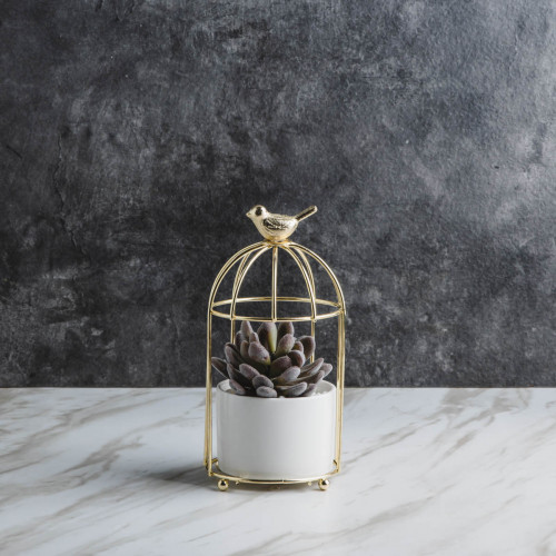 Bird's Cage Potted Plant #5 Red Chitose