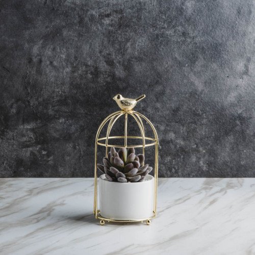 Bird's Cage Potted Plant #4 Green Lotus