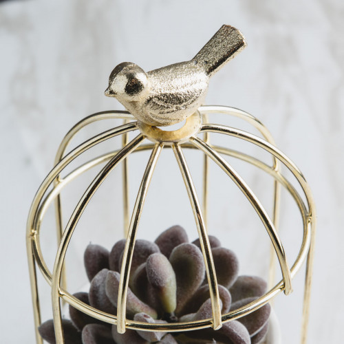 Bird's Cage Potted Plant #4 Green Lotus 3