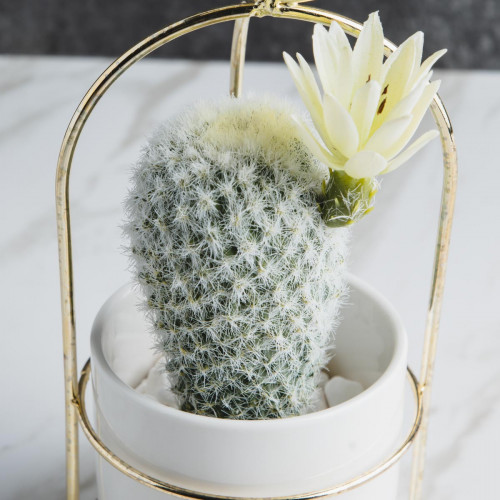 Succulent Plant Décor #5 Large Aloe 3