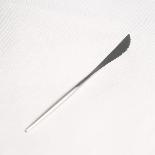 Classy Silver Dessert Knife