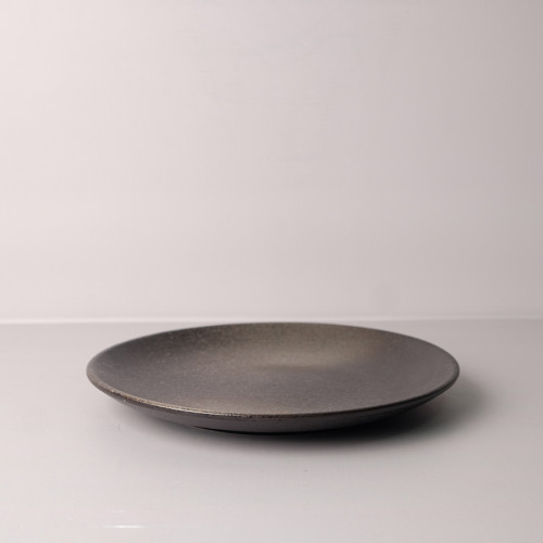 Dark Shaded 8" Salad Plate 2