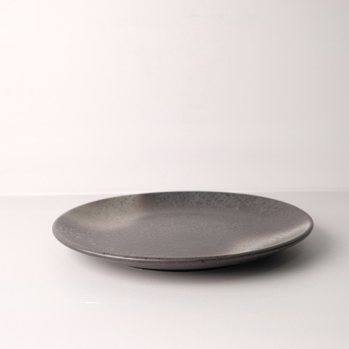 Dark Shaded 10" Dinner Plate 2