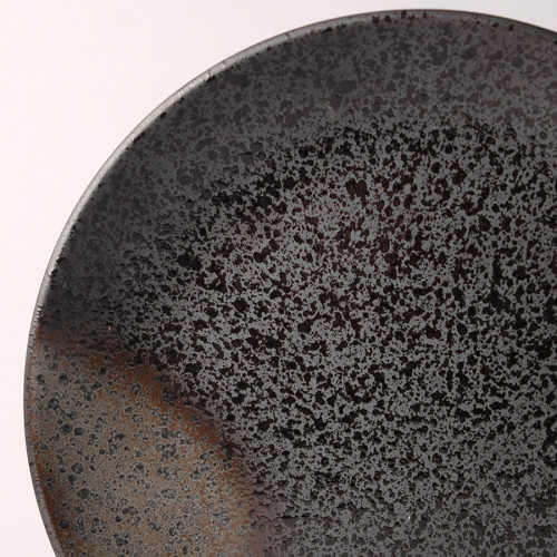 Dark Shaded 10" Dinner Plate 3