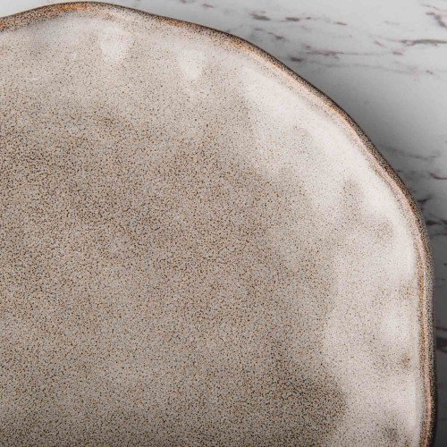 Sliver Tint Gray Dinner Plate 10" 4