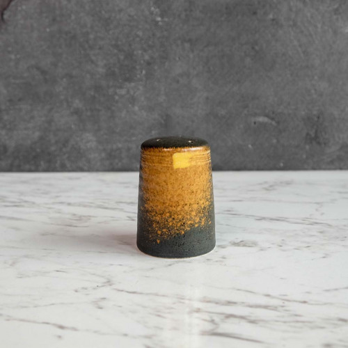 Dark Brown Fusion Salt & Pepper Shaker 2