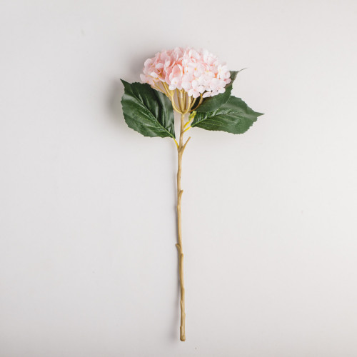 product.name