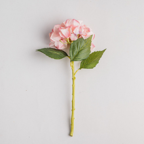 product.name