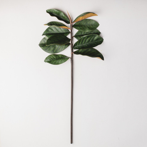 product.name