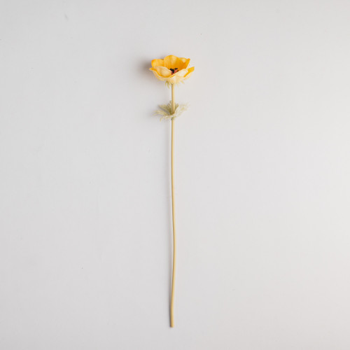product.name