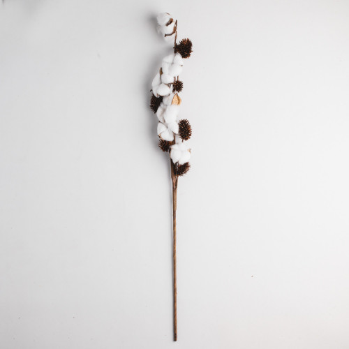 product.name